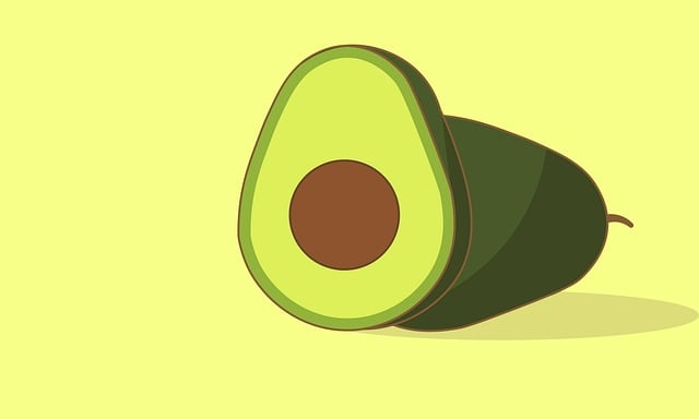 Free avocado fruit vegan vector
