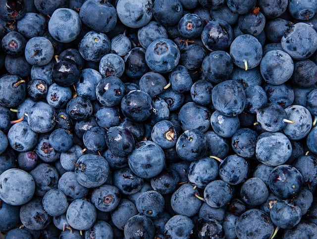 Free Natural Dessert photo and picture