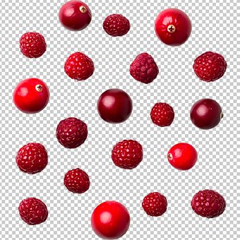 Free Berries Blueberries photo and picture