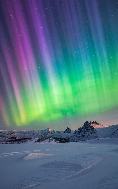Free ai generated northern lights nature illustration