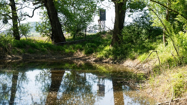 Free Nature Still Waters photo and picture