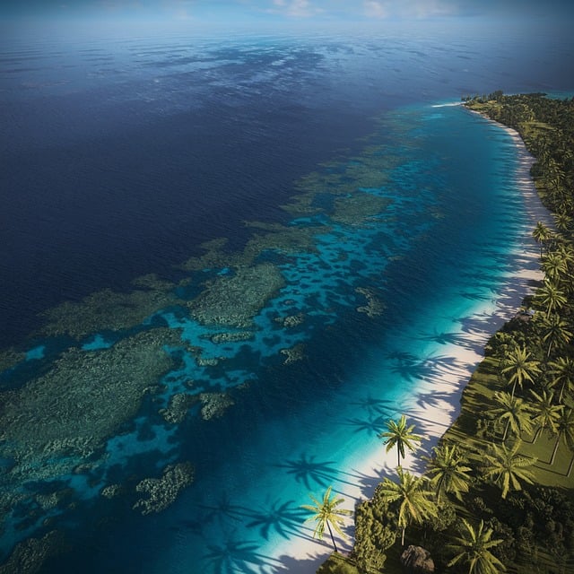 Free Sea Nature illustration and picture