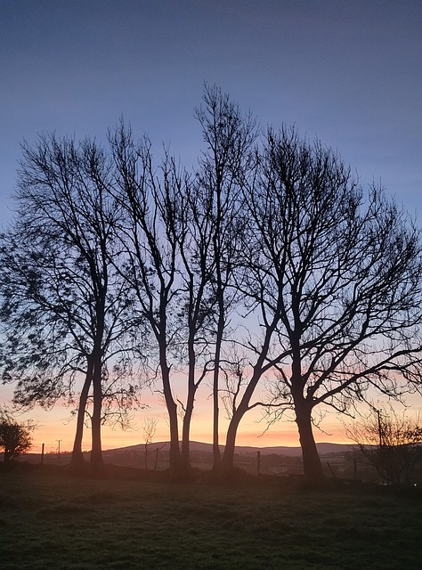 Free Sunrise Sky photo and picture