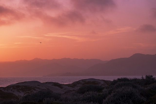 Free Afterglow Sunrise photo and picture
