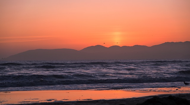 Free Ocean Sunset photo and picture