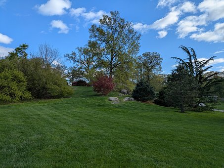 Free Spring Nature photo and picture