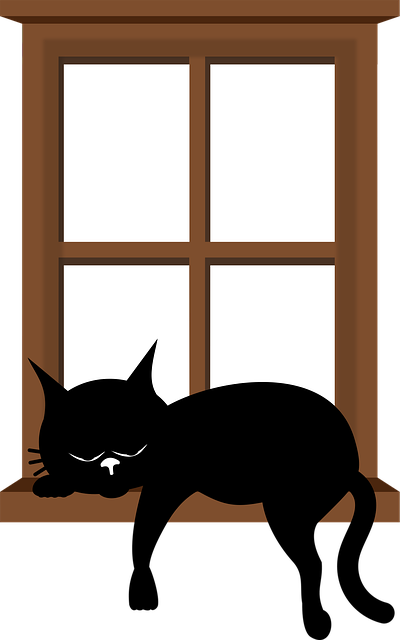 Free cat kitten black cats vector