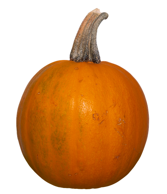 Free Pumpkin Fall photo and picture