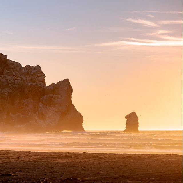 Free Bay Sea photo and picture