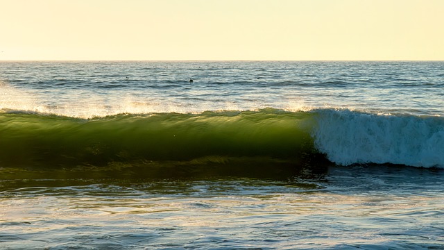 Free Wave Ocean photo and picture