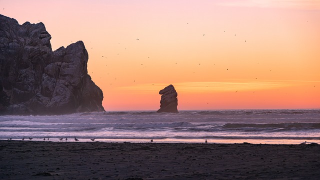 Free Bay Sea photo and picture