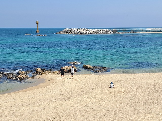 Free Beach Spring Day photo and picture