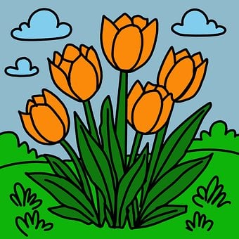 Tulipaner, Blomster, Planter, Natur
