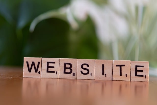 Free Website Internet photo and picture
