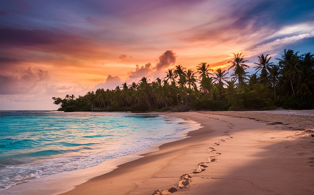 Free Beach Nature illustration and picture