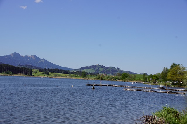 Lago, Agua, Rede, Passarela De Madeira