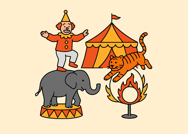 Circus, Uitvoering, Show, Amusement