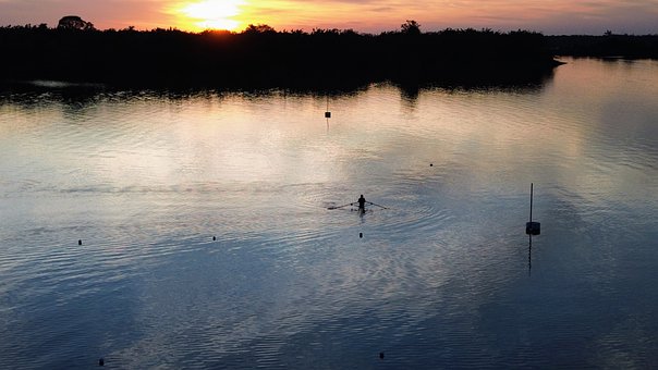 Free Rower Rowing photo and picture