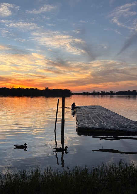 Free Rower Scull photo and picture