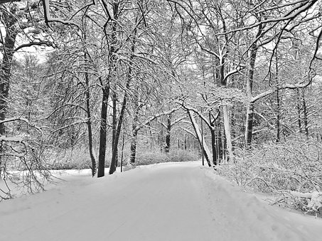 Free Winter Park photo and picture