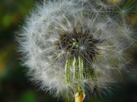 Free Camera Photo photo and picture