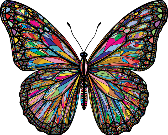 Free butterfly insect animal vector