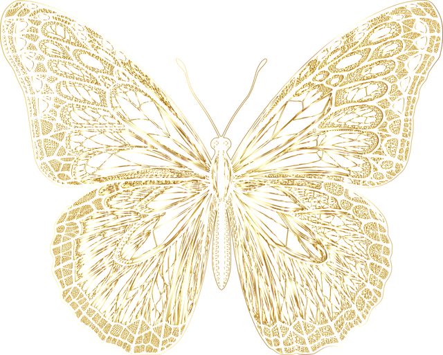 Free butterfly insect animal illustration