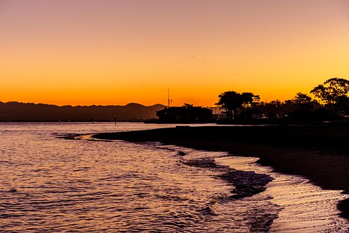 Free Bay Area Beach photo and picture
