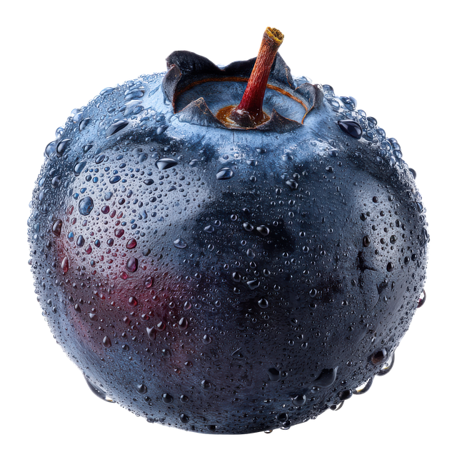 Free ai generated blueberry berries illustration