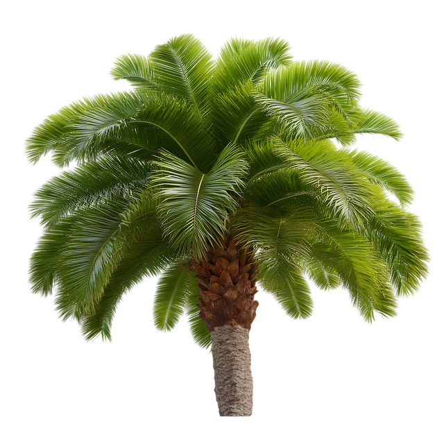 Ai Generiert, Palme, Baum, Tropisch
