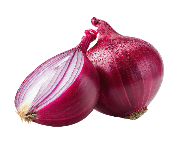 Free ai generated red onion illustration