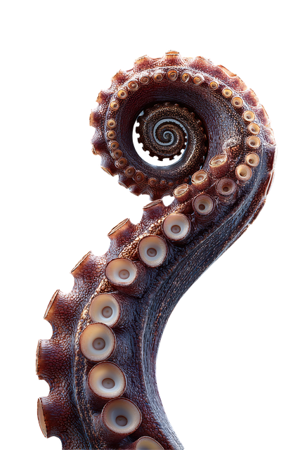 Free ai generated octopus tentacle illustration