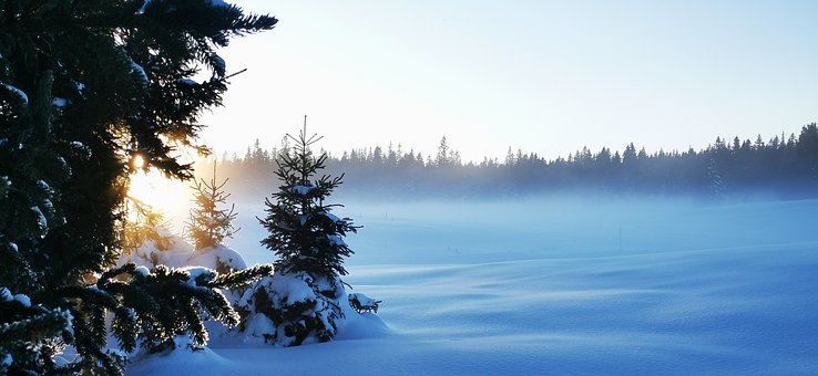 Free Winter Snow photo and picture
