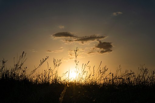 Free Nature Landscape photo and picture