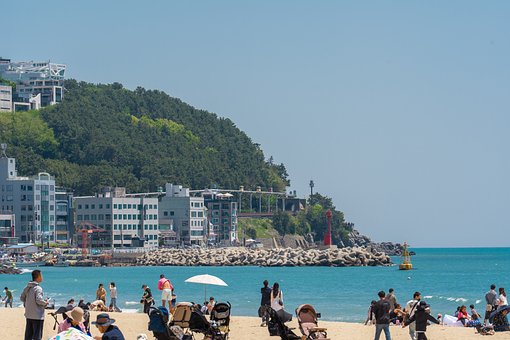 Bølge, Ocean, Hav, Natur, Strand, Vand