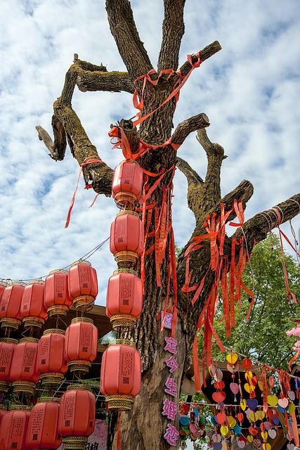 Free Asia China photo and picture