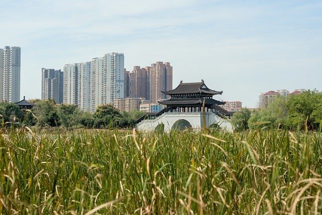 5月6日保险日报:2022年保险资管实力哪家强?78家寿险公司亮一季度成绩单