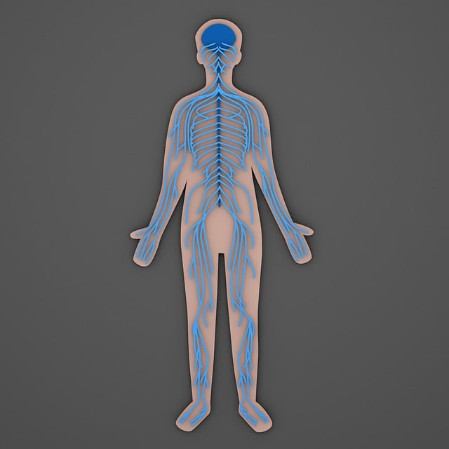 Free Nerves Nerve photo and picture