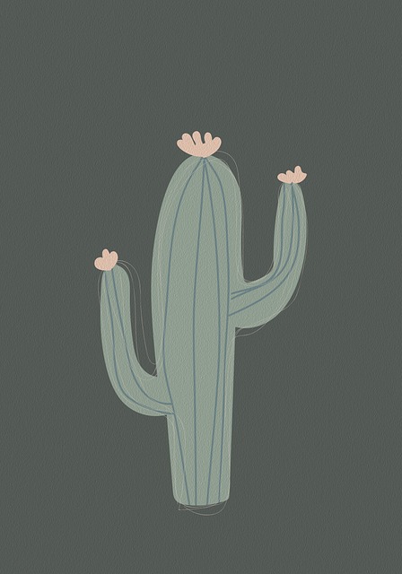 Free plant nature cactus illustration