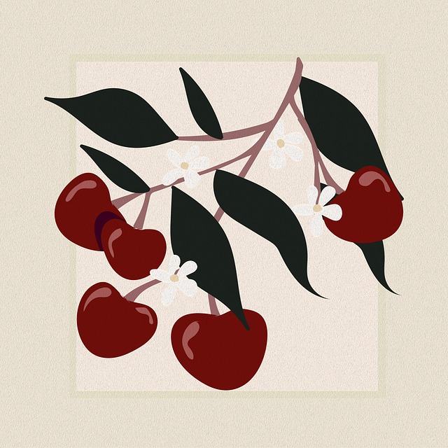 Free healthy boho bohemian illustration