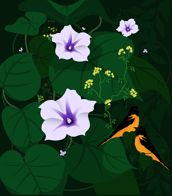 Forår, Natur, Blomst, Fugle, Dyr, Plante