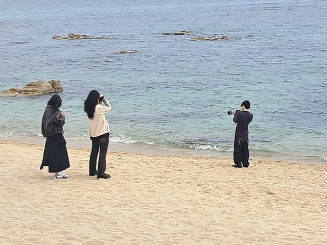 Free Photographer Beach photo and picture