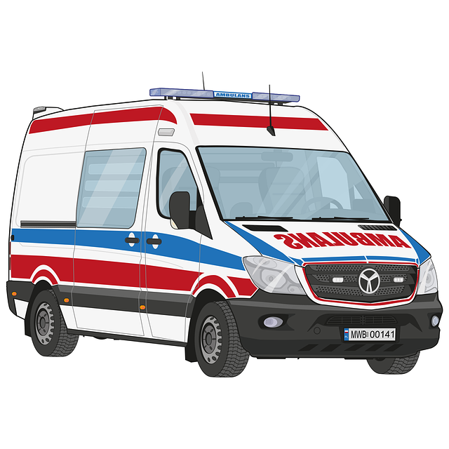 Free Hospital Lifeguard vector and picture