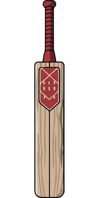 Free ai generated cricket cricket bat vector