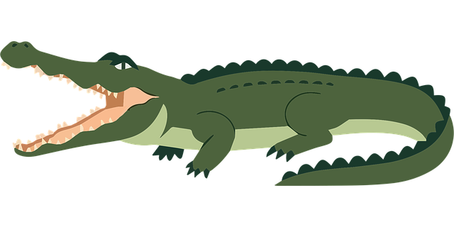 Free funny crocodile vector cartoon crocodile illustration crocodile character design vector