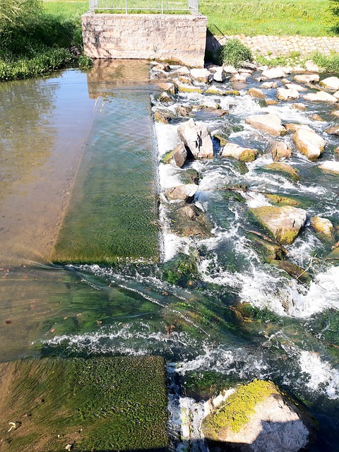 Free Flow Nature photo and picture