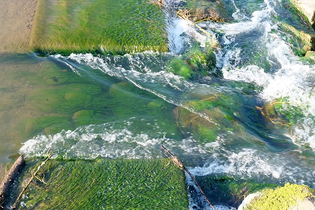 Free Nature Landscape photo and picture