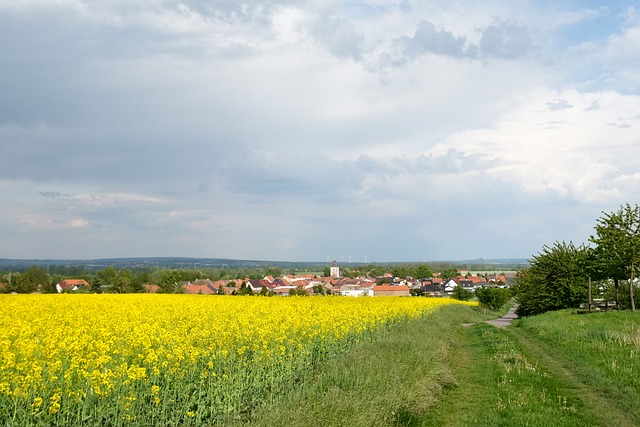 Free Village View Church Tower photo and picture