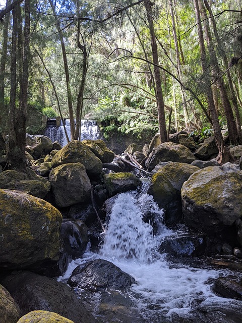 Free Cascade Nature photo and picture