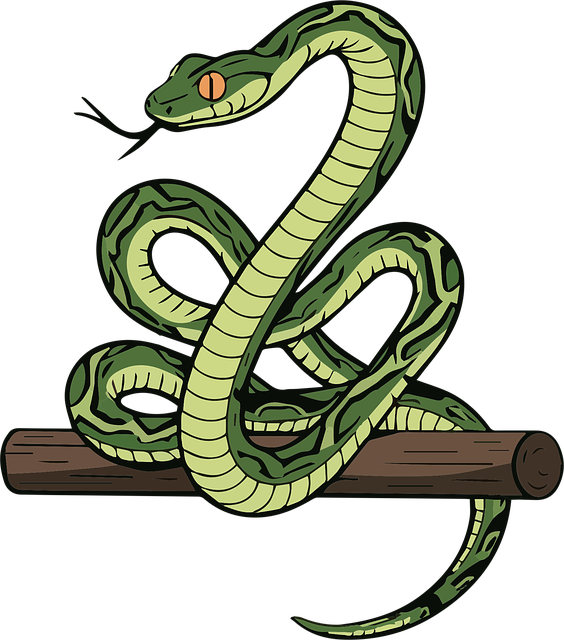 Free Bush Viper Snake Vector vector and picture